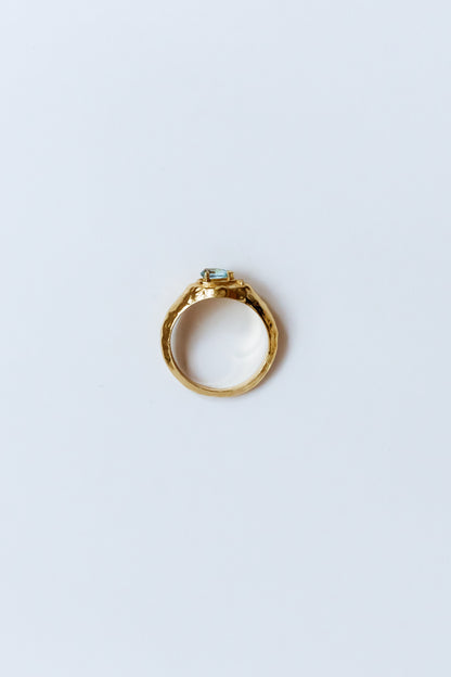 Christ follower Signet Ring - Gold