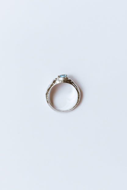 Christ follower Signet Ring - Silver